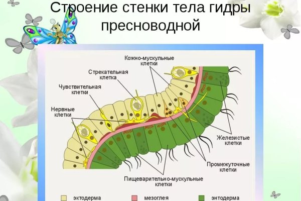 Кракен нрк