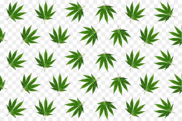 Кракен ссылка 2web