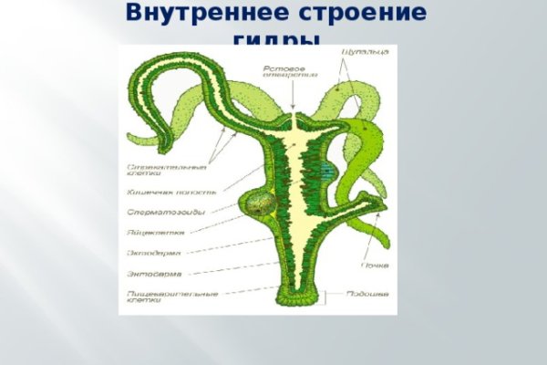 Ссылка на кракена для тора