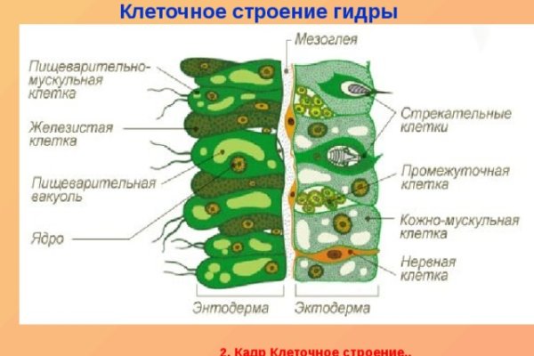 Кракен ссылка