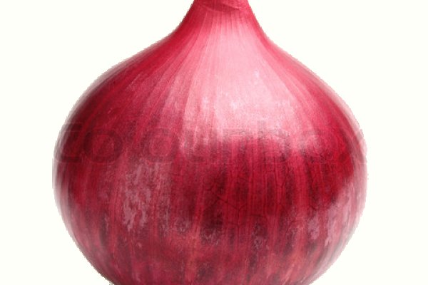 Kraken onion