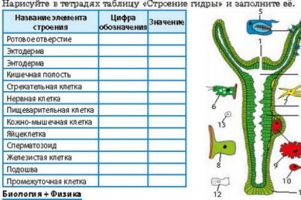 Кракен нарко маркетплейс