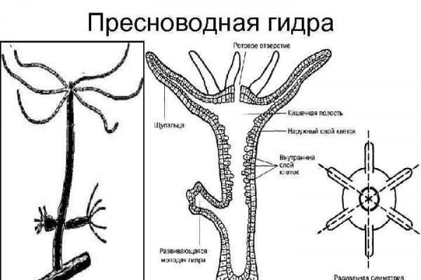 Работает ли кракен