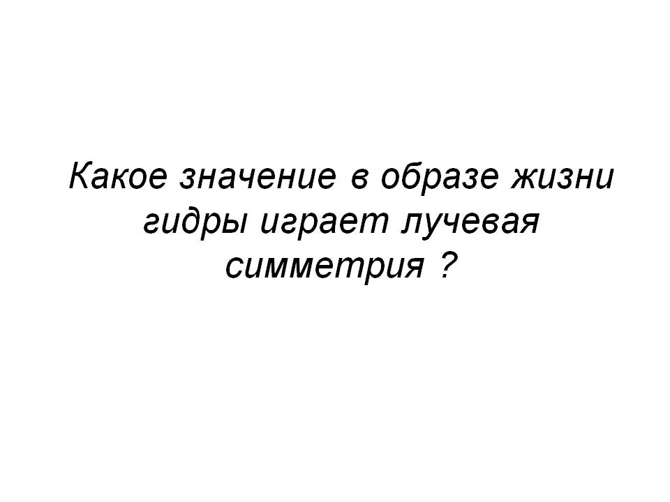 Кракен магазин тор